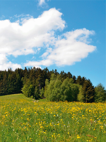 Značková kvalita z Německa